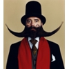 World Beard and Moustache Championships